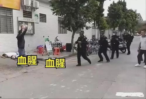 东莞凤岗爆料案件最新,真相渐明，疑云散去